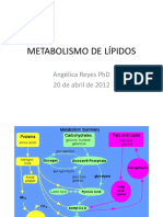 clases_Lipidos_Areyes_20_4_12 (1).pdf