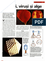 Bacterii, Virusi Si Alge