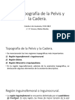 TP6 Viscuso Topografiìa de La Pelvis y Cadera 2 PDF