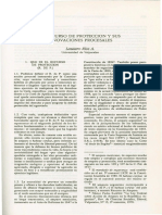 El Recurso de Protección y Sus Innovaciones Procesales PDF