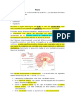 Talamo y Formacion Reticular