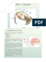 1° trabajo independiente de microanatomia.pdf