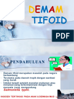 Epidemiologi Demam Tifoid