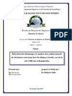 Mémoire pdf.pdf
