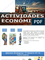 Sectores Economicos Primarios y Secundarios