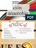 Fermentación Anaerobia