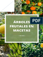 Cursorbolesfrutalesenmacetas PDF