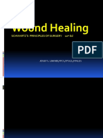 Wound Healing: Schwartz'S Principles of Surgery 10 Ed