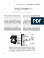 Development of The Cerebral Cortex: Forming The Cortical Structure