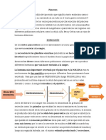 Tipeo Pancreas