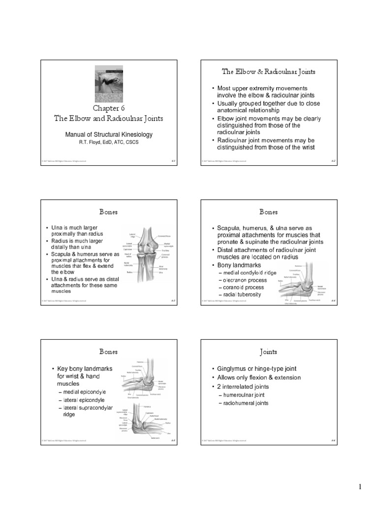 Kinesiology Elbow Joint PDF | PDF | Elbow | Anatomical Terms Of Motion