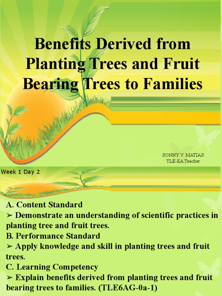 Benefits Derived From Planting Trees and Fruit Bearing Trees To