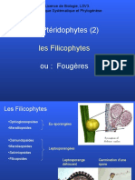 Les Pteridophytes (2)