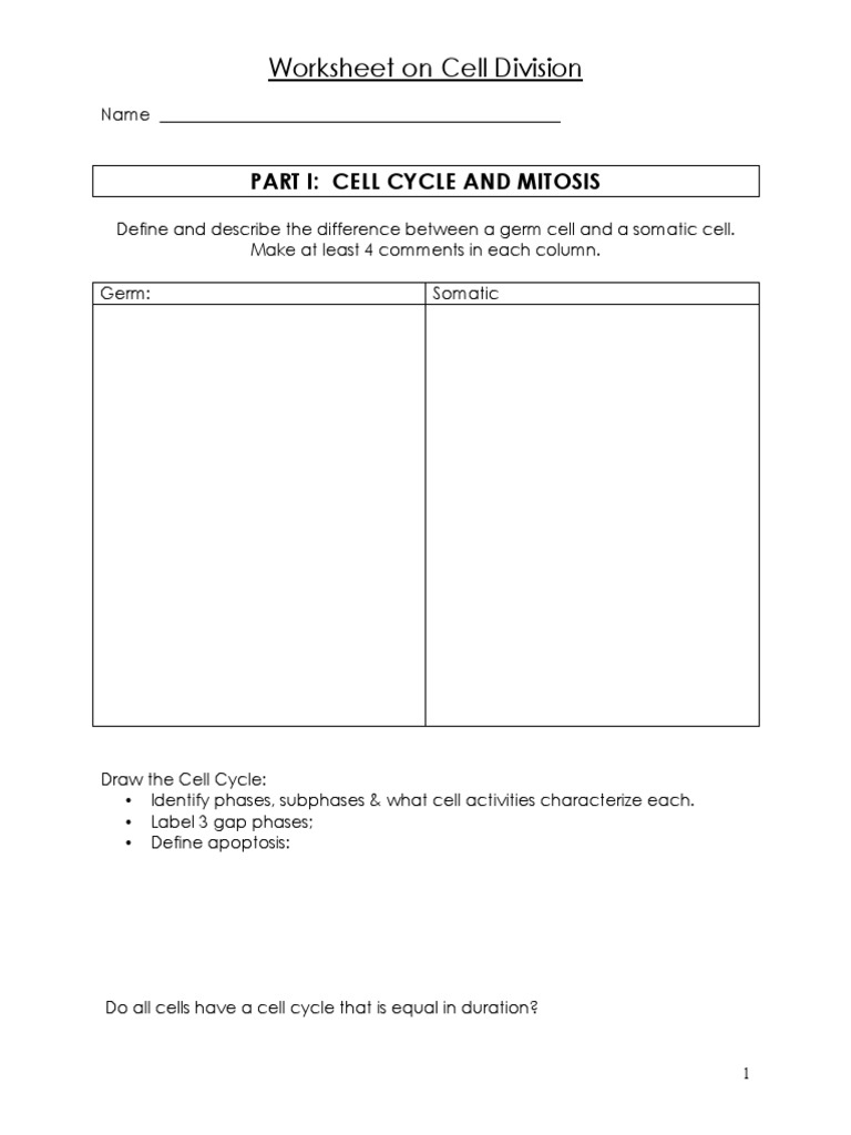 Worksheet On Cell Division Part I Cell Cycle And Mitosis Meiosis Mitosis
