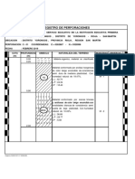 Perf. C-01 PDF