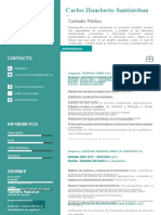 Plantilla Curriculum Vitae 10