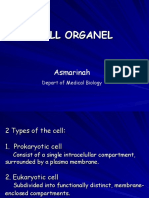 Kuliah S1 Intern Cell Organel 2009