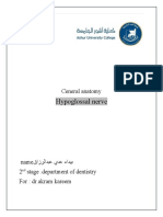 Hypoglossal Nerve: Ceneral Anatomy