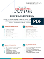 Brief Del Cliente Ideal PDF