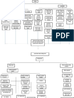 Pathway Osteoporosis