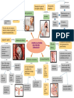 Mapa Mental Complicaciones Graves Durante El Embarazo