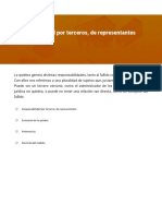 Responsabilidad Por Terceros, de Representantes PDF