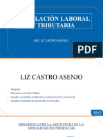 Legislaciòn Laboral Y Tributaria: Mg. Liz Castro Asenjo