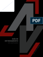 Guia Basica II PDF