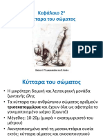 κυτταρα σωματος PDF