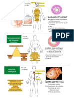 Vasculitis PDF