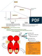 Válvulas Cardíacas.pdf