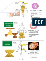Vasculitis.pdf