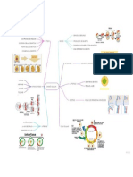 Mapa Mental Biologia Dividion Celular PDF