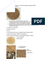 ANALISIS DE MUESTRAS SEDIMENTARIAS