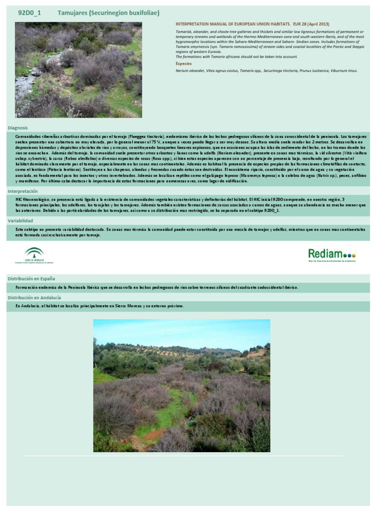 Tamujares (Securinegion Buxifoliae) Interpretation Manual of European