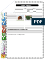 EN 006 - Arboles PDF