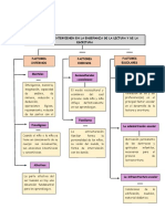 MAPA CONCEPTUAL 