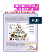 La-Piramide-Alimenticia-para-Quinto-de-Primaria.pdf