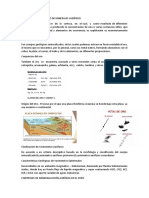 Geologíade Yacimiento de Minerales Aurífero