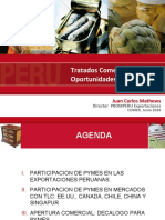 Oportunidadparalaspymes PDF