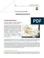 ORIGEN EMBRIONARIO SISTEMA ESQUELETICO.pdf