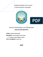 Ae-17-Evaluacion Objetiva-Guzman L. Milagros