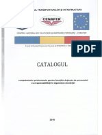 catalog-competente-profesioanale.pdf