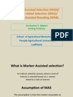 03 Marker Aided Selection