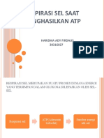 Respirasi Sel Saat Menghasilkan Atp