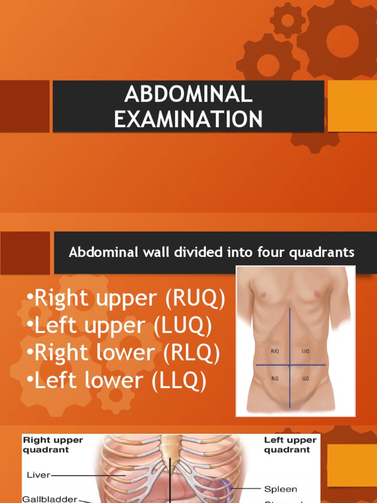 Comprehensive Abdominal Examination Guide | PDF | Abdomen | Large Intestine
