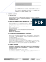 Estructura de Informe Final PPP