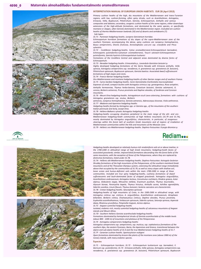 Interpretation Manual of European Union Habitats. Eur 28 (April 2013