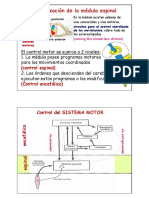 Control Motor1