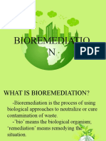 Bioremedation